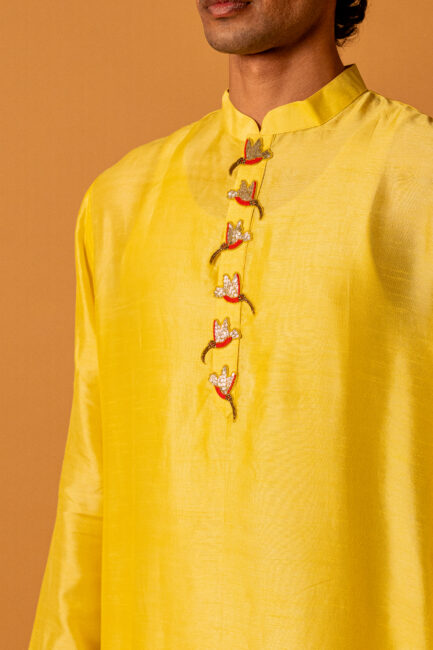 Mayur Kurta Set